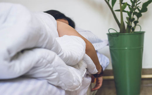 What is the circadian rhythm? A complete guide