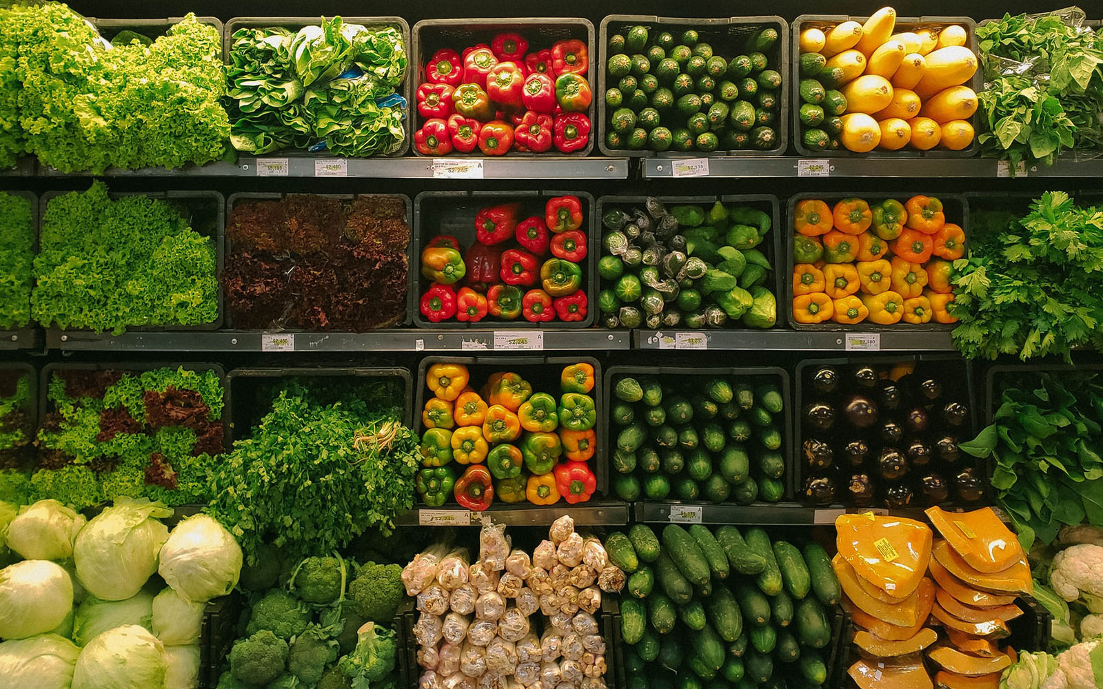 What Are The Health Benefits Of Fibre & The Best Sources? | Zooki