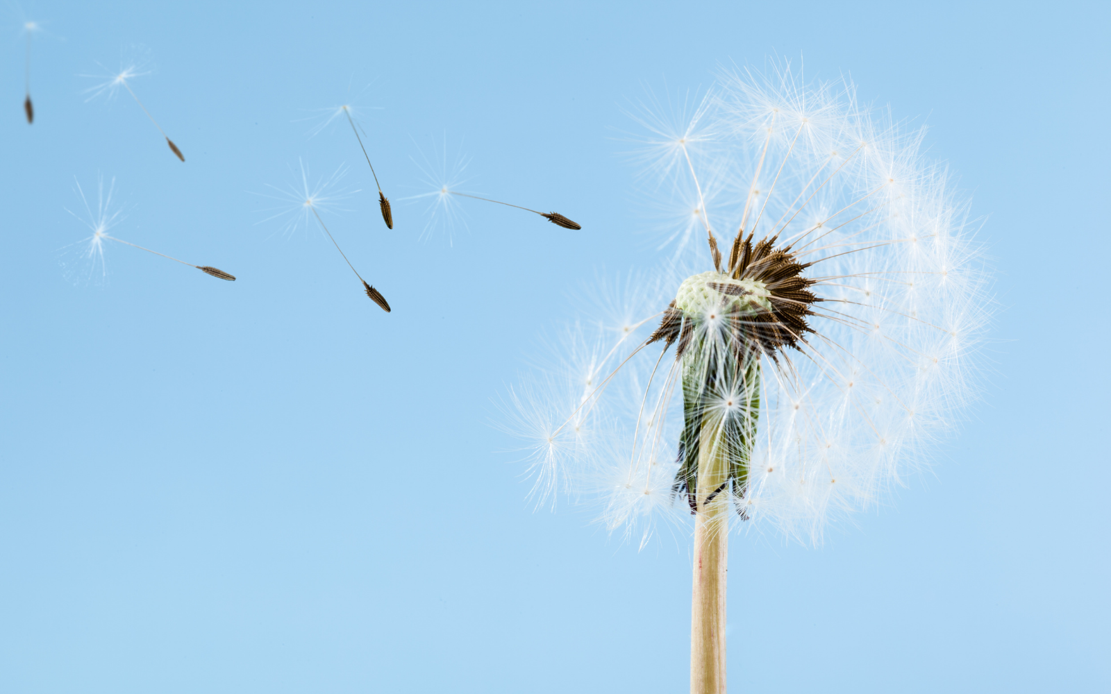 Nutrition for fertility | Zooki