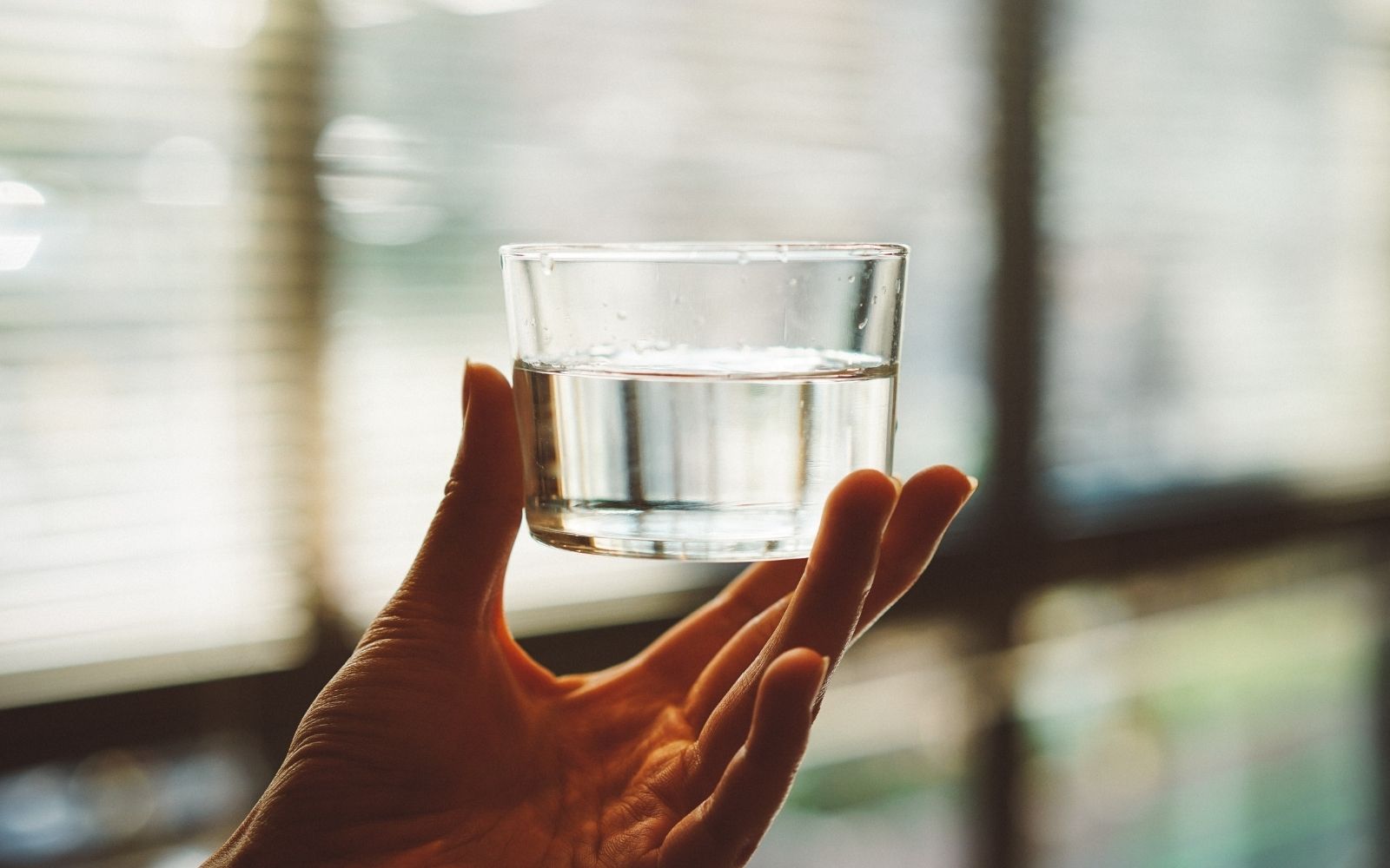 The importance of keeping hydrated | Zooki