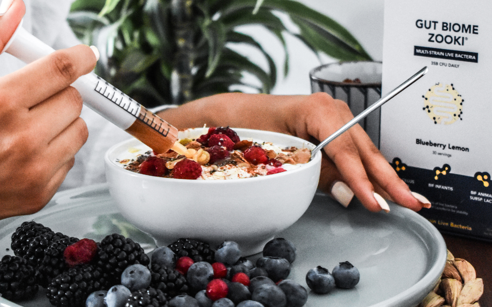 What Foods Contain Probiotics? | A Guide To Probiotic Types | Zooki