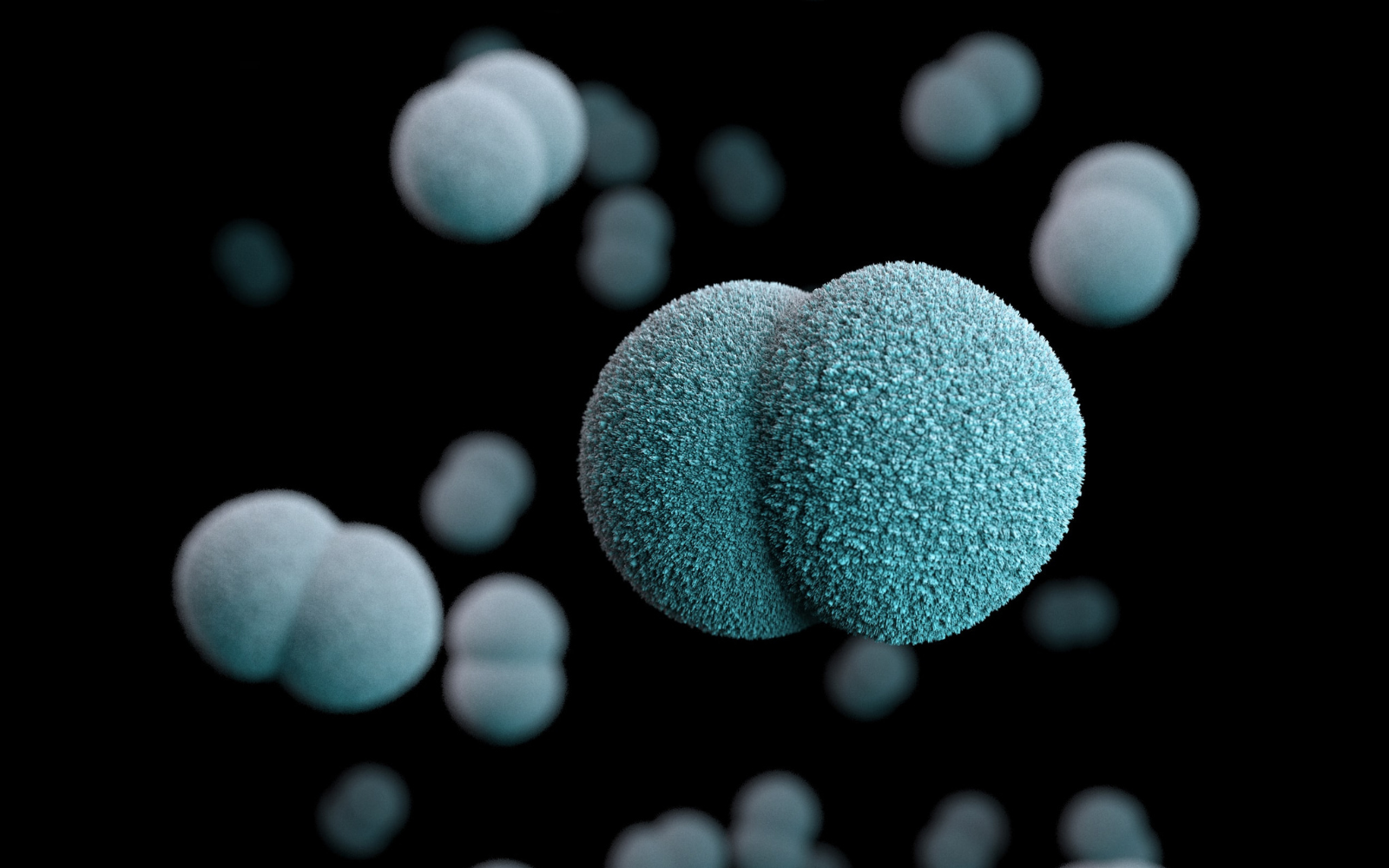 What is gut dysbiosis? Understanding your gut microbiota | Zooki