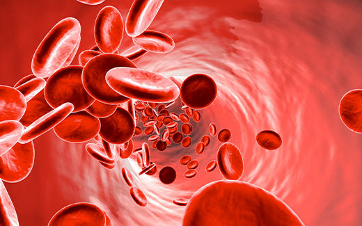 What does Vitamin B12 do? How it works