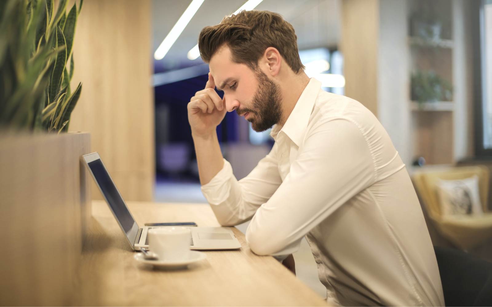 The Different Forms Of Stress & What Effects They Have On Us | Zooki