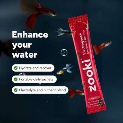 Electrolytes+ Exercise and Recover
