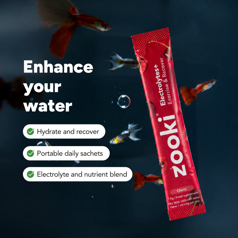 Electrolytes+ Exercise and Recover