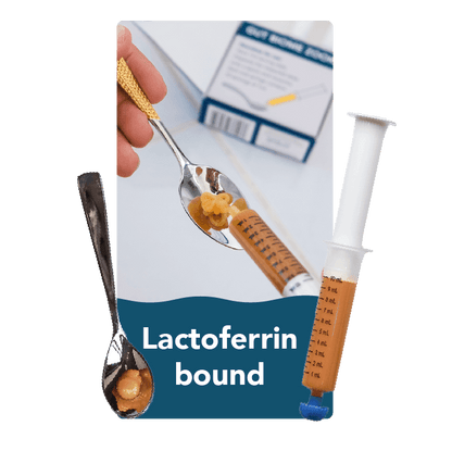 Probiotics and lactoferrin Blueberry Lemon