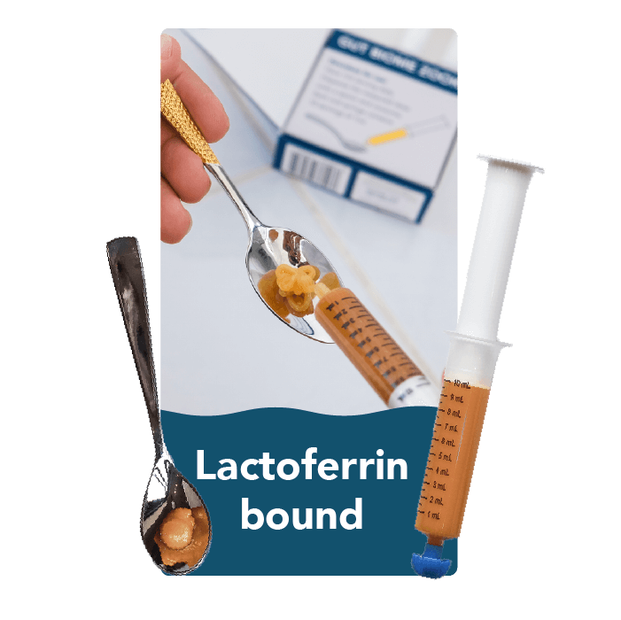 Probiotics and lactoferrin Blueberry Lemon